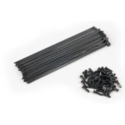 Eclat Cortex OS X Bondi Logo Front Wheel -Canyon Sport Store 4E3F04B8 4EF5 4160 8948 DDFDB67C7AB3