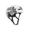TSG Evolution Helmet / Goldbeck Protest