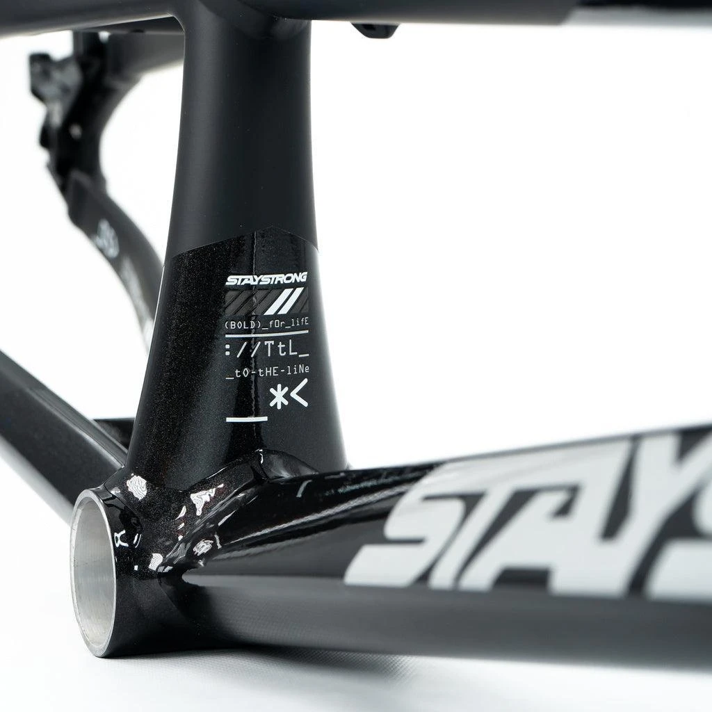 Staystrong V5 Disc Expert XL Cruiser Frame 13 Staystrong V5 Disc Expert XL Cruiser Frame - Image 13