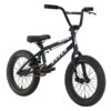 Raven Trickster 16 Inch Bike
