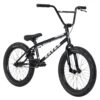 Raven Trickster 20 Inch Bike