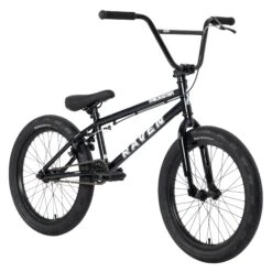 Raven Trickster 20 Inch Bike