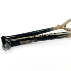 Staystrong V5 Disc Mini Frame -Canyon Sport Store staystrong v5 disc mini frame frames elite cycle imports chameleonsilver 17 5tt 19