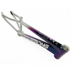 Staystrong V5 Disc Mini Frame
