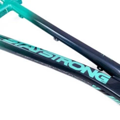 Staystrong V5 Disc Pro L Frame 35 Staystrong V5 Disc Pro L Frame -Canyon Sport Store staystrong v5 disc pro l frame frames elite cycle imports blacktan 20 75tt 16
