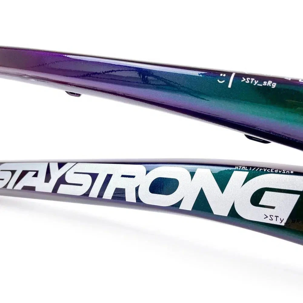 Staystrong V5 Disc Pro XXXL Frame 11 Staystrong V5 Disc Pro XXXL Frame - Image 11