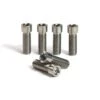 Titanium M8 Low Head Stem Bolt (6 Pack)