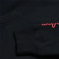 TLD 25.1 Badge Hoodie -Canyon Sport Store tld 25 1 badge hoodie hoods and sweats lusty industries black s 4