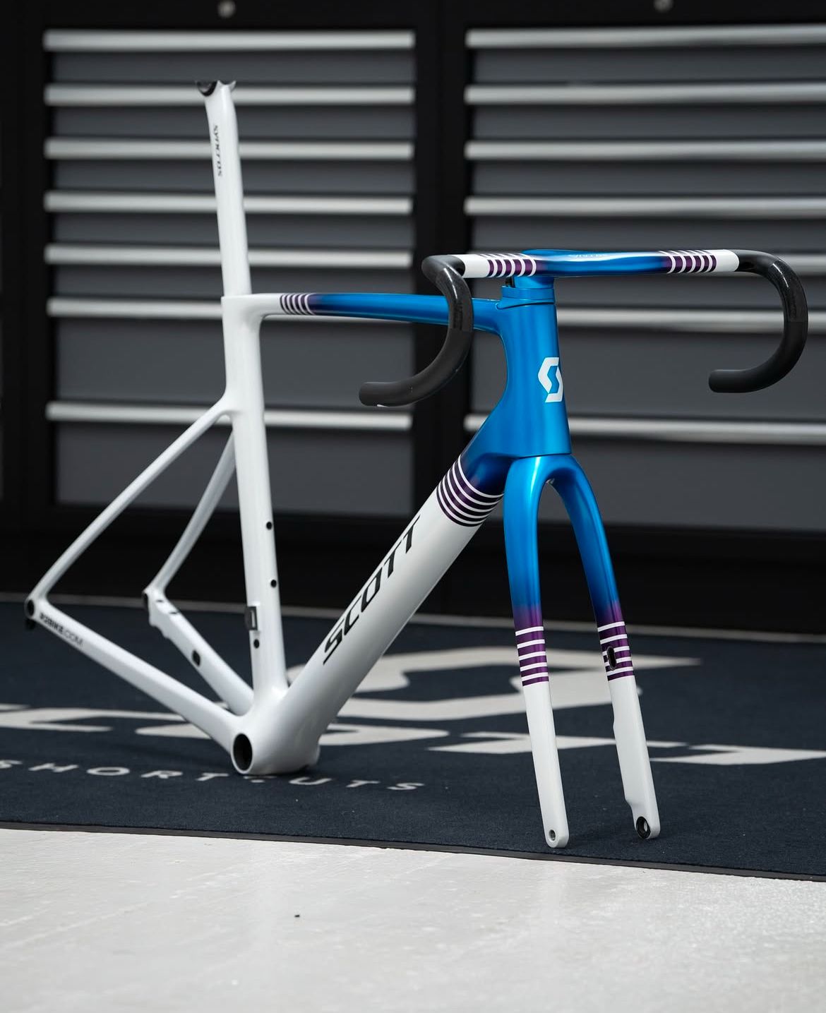 Canyon Sport Store -Canyon Sport Store 5e14130cd90f916420a4e28de4661fa9